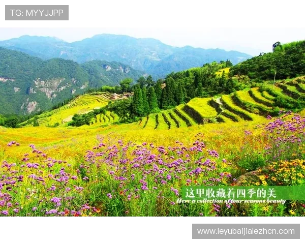 云顶国际网址送25元优惠券领取后如何快速使用和兑换指南