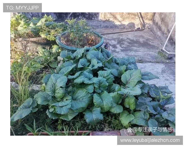 亚星百家官网网址安全保障措施，保障玩家个人信息与资金安全的详细介绍