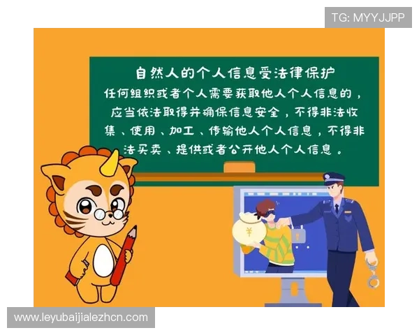 爱游戏网址登录最新安全验证流程，保障玩家账号信息安全与隐私保护