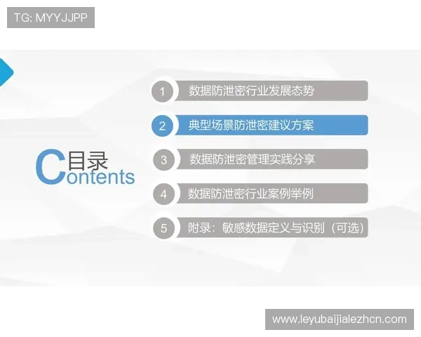 AG视讯安全接口在防止黑客攻击中的关键作用及其安全策略详解