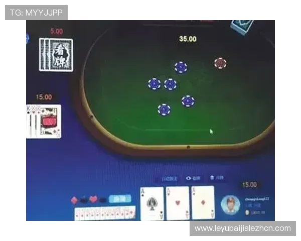 专业分析百家乐网站游戏的玩法规则与盈利策略，提升你的胜率和游戏乐趣